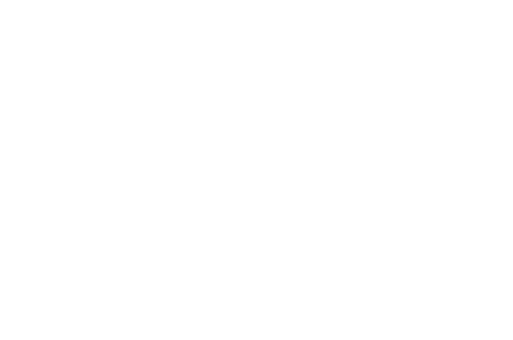 Toronto Int'l Filmmakers Festival — Winner