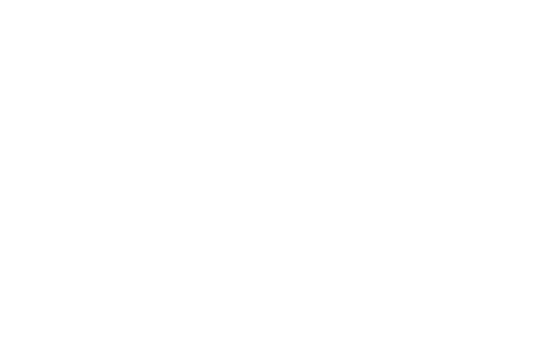 Puente Cinematográfico Int'l — Official Selection